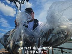 [홍원항 타이탄호] 8월8일(토) 씨알좋은 백조기&부서 조황
