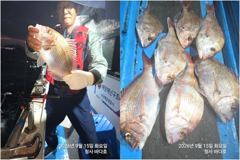 참돔4짜,대박 왕전갱이 150마리이상 조황.