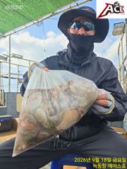 녹동항 문어 대박조황