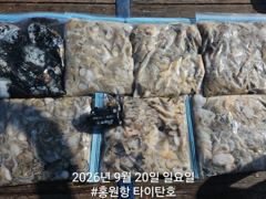 [홍원항타이탄호] 9월20일(일) 바닥만 찍으면 올라오는 굿조황!!