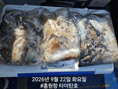 [쭈갑조황] [홍원항타이탄호] 9월22일(화) 계속 잘나오는 쭈꾸미와 갑오징어 조황