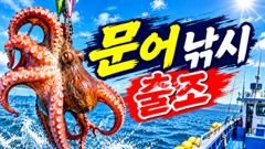 문어>>>먼바다생미끼 쭈꾸미 출조합니다 (예약가능)