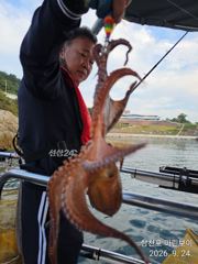 [사천] 삼천포 마린보이 풍성한 가을문어 뜯으로 출항합니다.