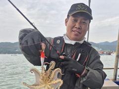 삼천포 쭈꾸미 조황 !! 내일2여유