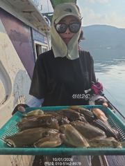 (건담호)1일 갑오징어 또또 굿굿^^ 담주 자리여유