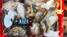 쭈·갑조황 글만 보기