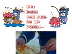 [서천,보령] 무창포_킹피싱_킹피쉬호_10월_2일_갑오징어_조황_입니다. 6일…