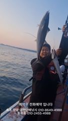 지금은 조업중 숨좀쉬고 잡으세요, 미친조황 미친날 연속, 출조가실분 전화주세요,