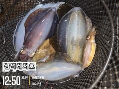 {팁런] 좌시리 ,씨알 ""굿"" (일요일 출항)