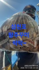왕주꾸미 퍽퍽/대박이네 ~화요일부터 고고싱