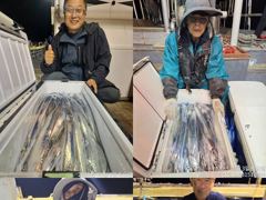[완도 청산호] 26.10.02 씨알 좋은 갈치 조황 입니다. 찾아주신 조사님들 감사합니다.