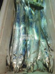 내만갈치)사이즈업업~손맛이 환상적입니다~예약가능