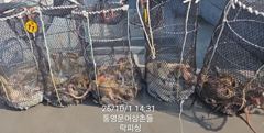 (문어)피딩~망탱이 가득 원도권 집중공략 락피싱(4일 예약)