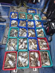 10월3일 뉴용궁호 조황입니다