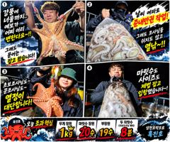 강풍·너울에도 20수 장원! 삼천포야간문어! 삼천포박프로 흑진호