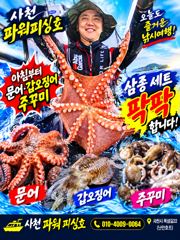 [사천] 주꾸미 실시간 & 야간 돌문어 3일조황