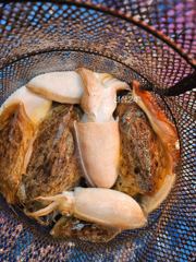 10/4일 조황입니다