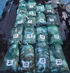 10월4일 쭈갑 조황입니다!!