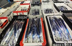 준내만씨알급손맛보러갑니다(화수목예약가능)
