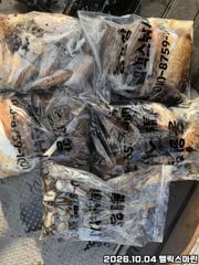 10/04(일) 펠릭스마린 - 쭈꾸미 조황입니다!!