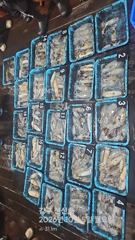 [영덕] 261004 일요일 무늬오징어 조황 장원25 총208 강구신신호…