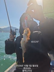 쭈꾸미 잘 나와요~ 내일부터는 갑오징어!! 자리많아요