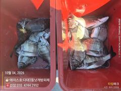 [부산] 낫개 에이스호 감성돔 마릿수 진행중!