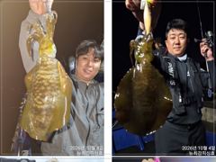 [통영] 왕무시들 왕고매들~ 사이즈 좋습니다!! 오늘 6시 출동!!!