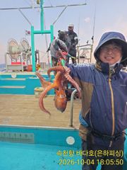 [진해] 문어 야간 문어 조황 돌박에 쨋다하면 600이상 급만 키로급도 …