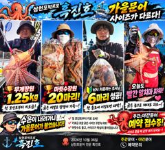 수온 떨어지니 문어 사이즈가 달라졌다! 삼천포문어｜삼천포박프로 흑진호