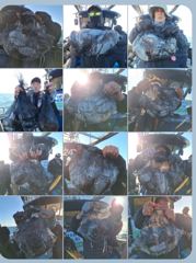 선단여유자리ㅡ군산 먼바다 갑오징어 10.6