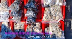 10/06 에바다호 쭈꾸미낚시 9人 조황