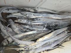 [통영] 10월7일입항조황
