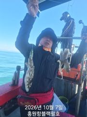 홍원항 쭈갑(주꾸미&갑오징어) 10월 7일(수) [[[ 블랙펄호 ]] 하루가 다르게 사이즈 좋아지고 있는 [[ 주꾸미와 갑오징어]] 로 묵직한 손맛 보고 입항합니다.