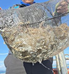 10/07 나드리호 조황입니다.