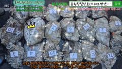 10월7일 홍원항힐링호 쭈갑 조황~!장원6.5kg오바~ 2등6.2kg 3등5.9kg 전원 손맛들 보셨네요.오늘은 조과차이가 거의 없네요^^수고들 많으셨습니다~ㅎㅎ