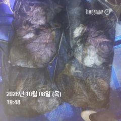 포항 종방) 제2대일호 10월 8일.출조 안내