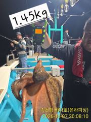 [진해] 문어 내만 야간 1.45k 1k 사이즈가 평균 마리수는 비슷 오…
