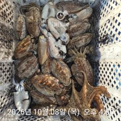 [거제] 라이프레져 감성돔 갑오징어 문어 선외기조황