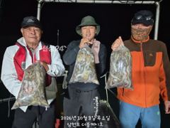 [사천] 삼천포 문어 주꾸미