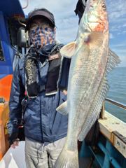 10/09 격포 남부스타호 민어 광어 참돔 우럭 조황입니다~!!!