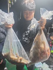 고흥 은비호 10월 09일 야간 문어낚시 조황