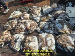 9일 썬크루즈호 갑오징어 다녀왔습니다