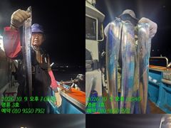 [통영] (14석통영명륜3호 )왕갈치 계속 호조황 쿨러에 듬뿍 고생하셨…