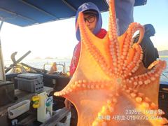 "돌문어"1600g1400g1200g1100g외 대물들 조황입니다~(내일오전반 예약가능)