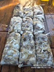 [사천] ^10일 실시간 왕쭈 퍽퍽 하네요 "내일/쭈욱 예약중입니다^^