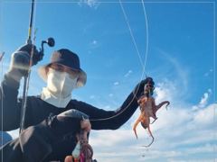 1   [통영] 사량도 굴어장문어~ 일욜 11시출항 1