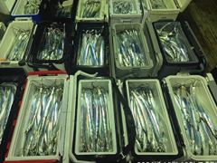 10일입항준내만갈치4지급꾸준한입질쿨러만~당