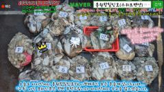 10월10일 홍원항힐링호 쭈반갑반^^ 조황~!쭈갑애들 괜찮네요ㅎㅎ어제보다 좀더 잡았네요~장원8.4kg오바~ 2등7.8kg 나머지분들도 조과가 비슷비슷하네요.수고들 많으셨습니다~