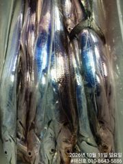 [진해] (갈치)초~대박 만쿨행진 전원 3지4지 퍼 담고~해신호(12일 …